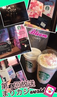 IMG_4213.jpeg